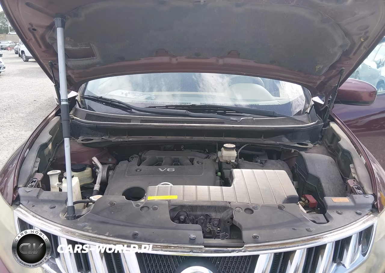 2009 Nissan Murano Le VIN:JN8AZ18W59W119296 - 10