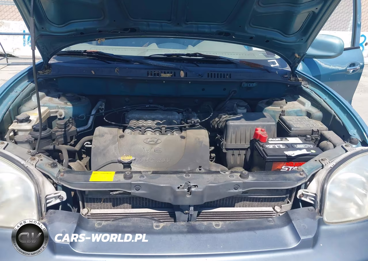 2001 Hyundai Santa Fe 2.7L V6 Gls-2.7L V6 Lx VIN:KM8SC83DX1U055056 - 10