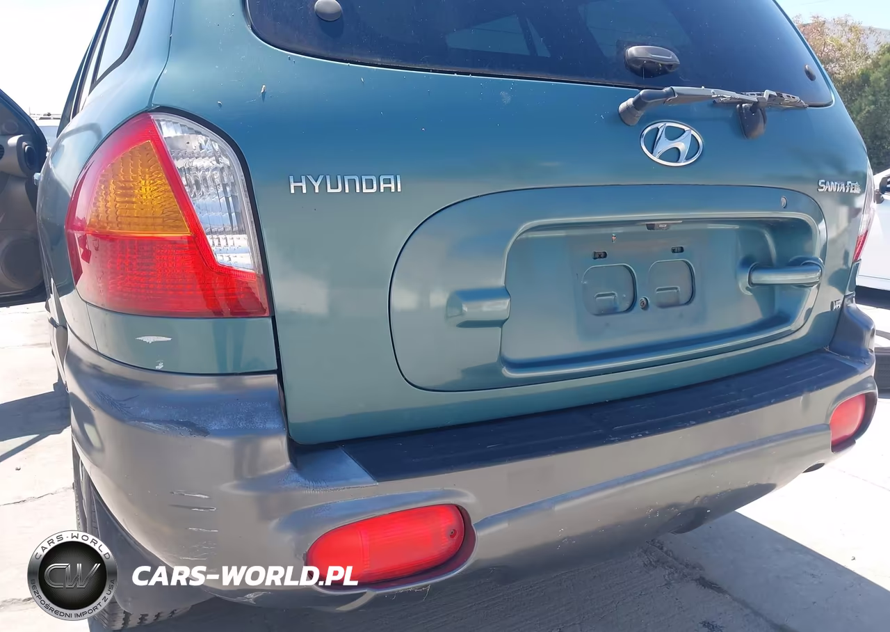 2001 Hyundai Santa Fe 2.7L V6 Gls-2.7L V6 Lx VIN:KM8SC83DX1U055056 - 6