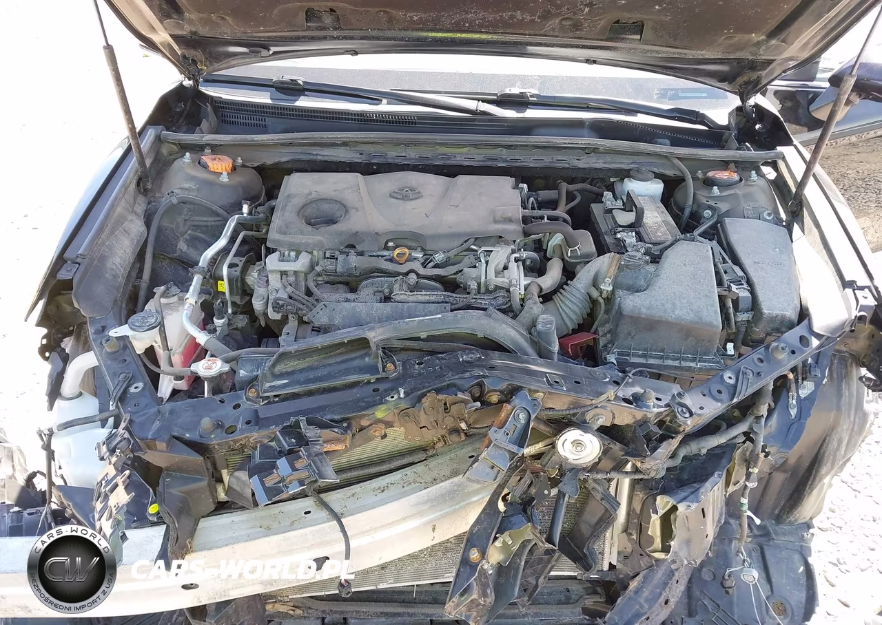 2019 Toyota Camry Le VIN:4T1B11HK3KU200962 - 10