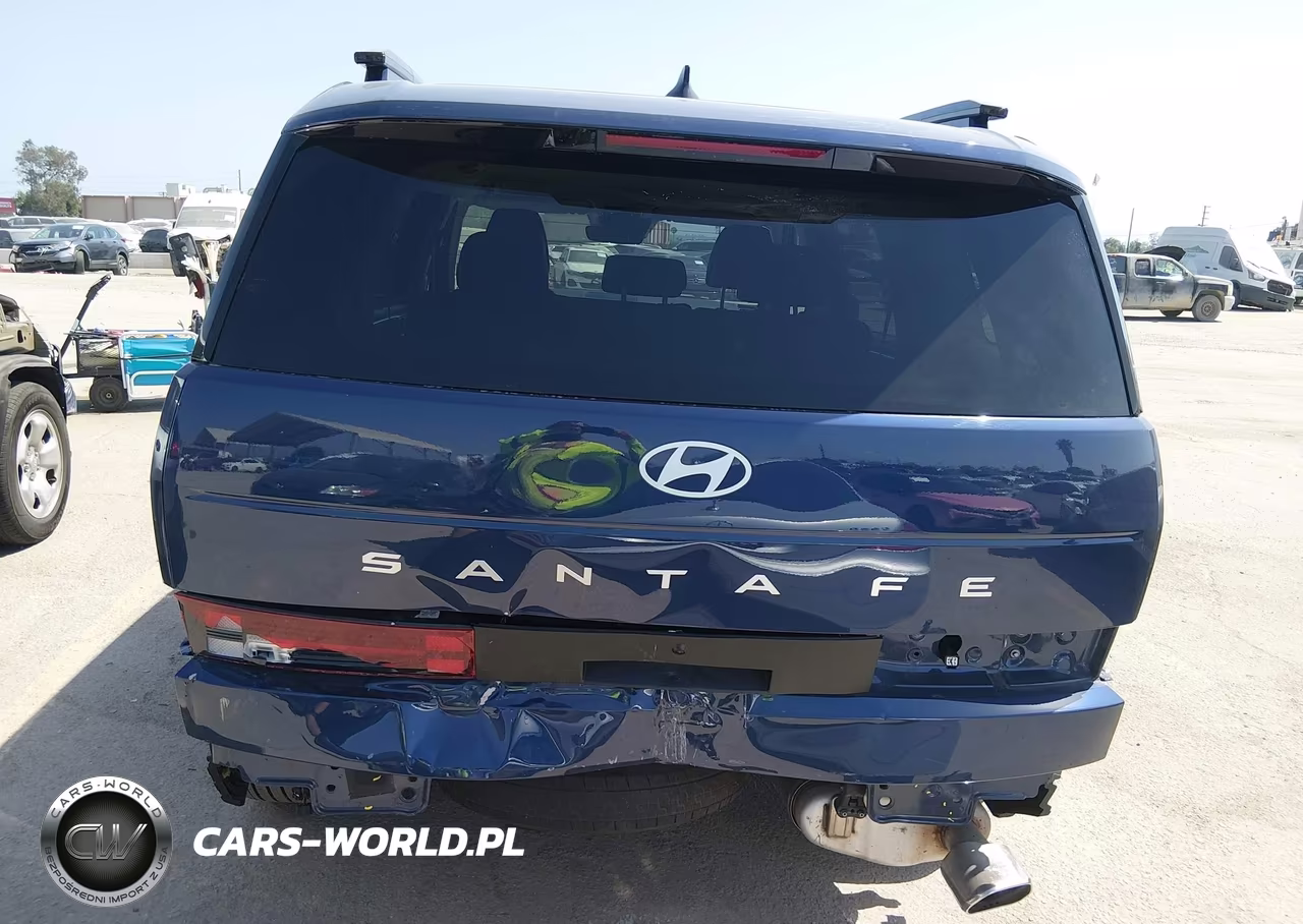2025 Hyundai Santa Fe Sel VIN:5NMP24GL9SH109060 - 17