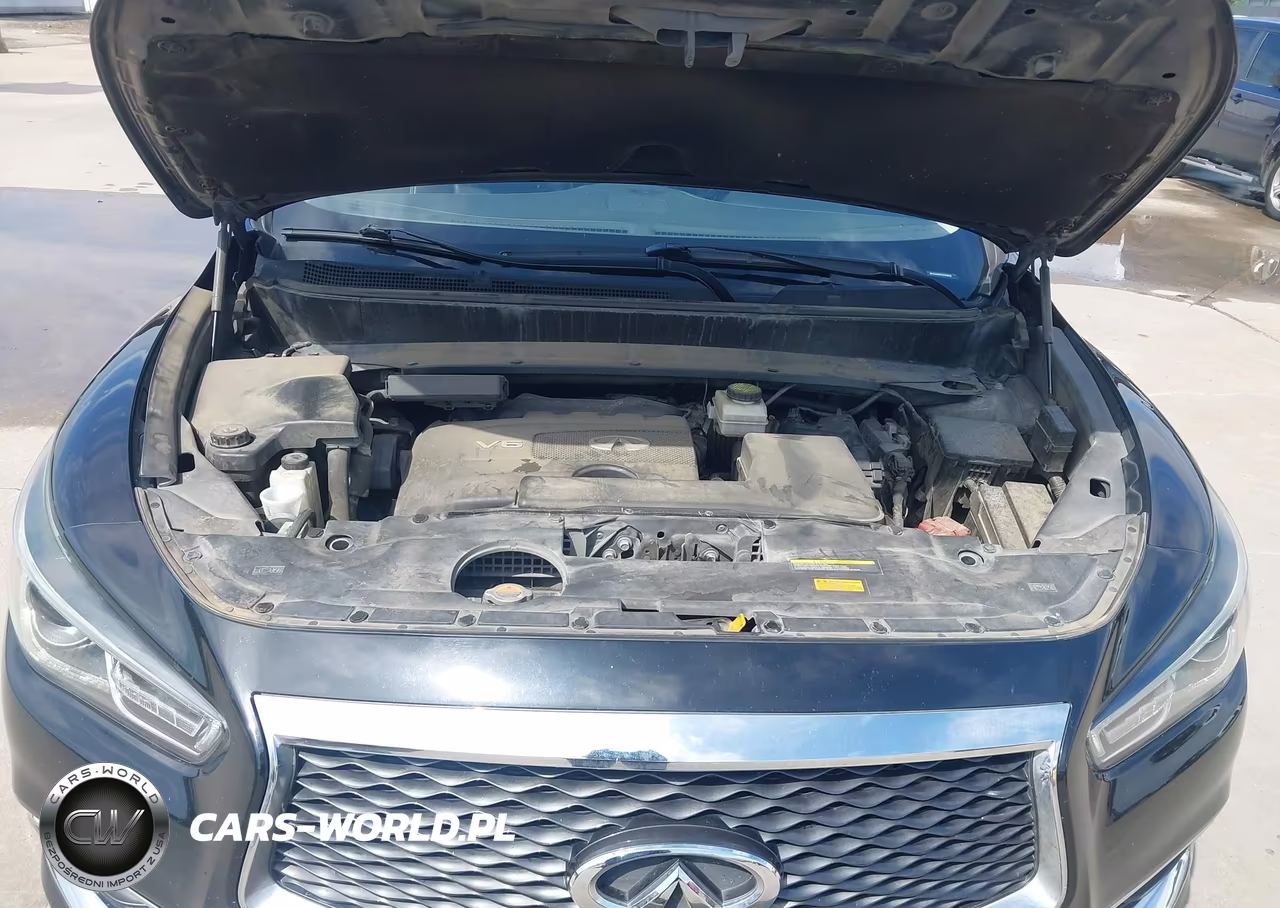 2019 Infiniti Qx60 Pure VIN:5N1DL0MN1KC559326 - 10