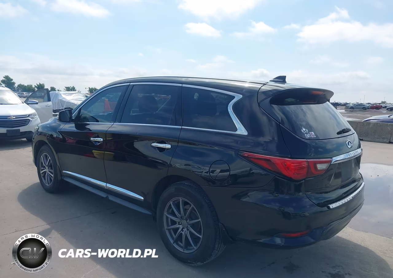 2019 Infiniti Qx60 Pure VIN:5N1DL0MN1KC559326 - 3