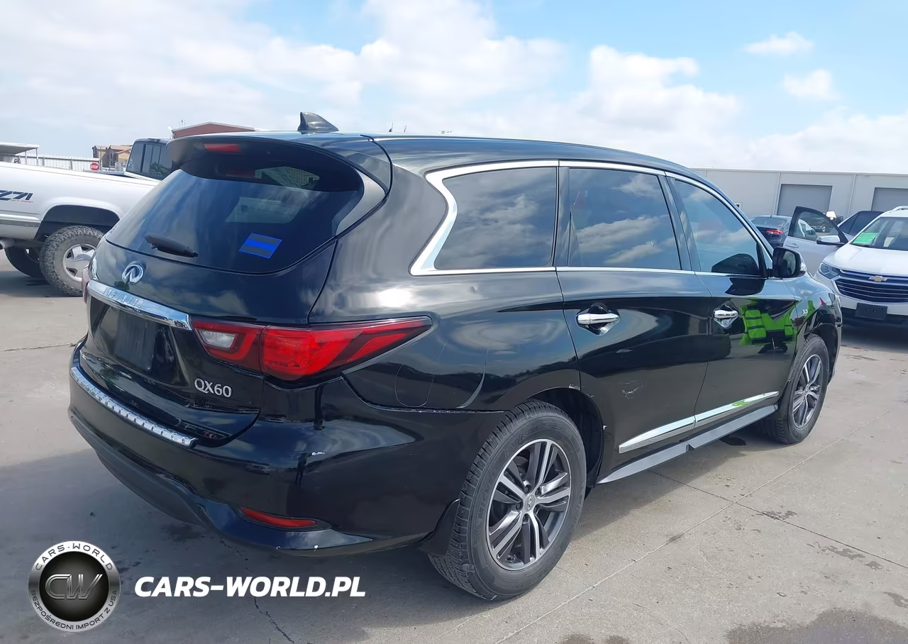 2019 Infiniti Qx60 Pure VIN:5N1DL0MN1KC559326 - 4