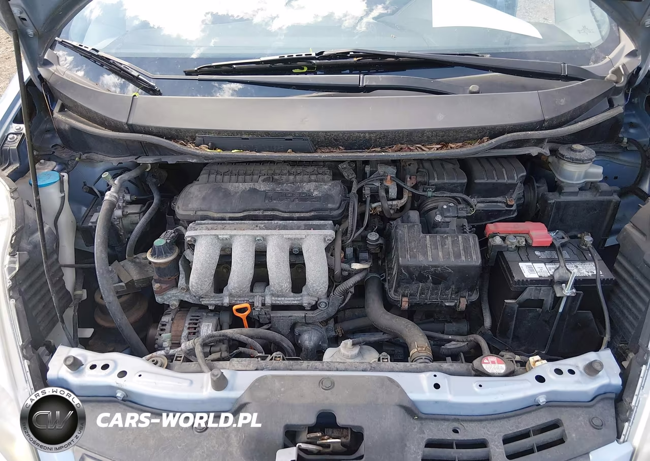 2010 Honda Fit Sport VIN:JHMGE8H42AC001025 - 10