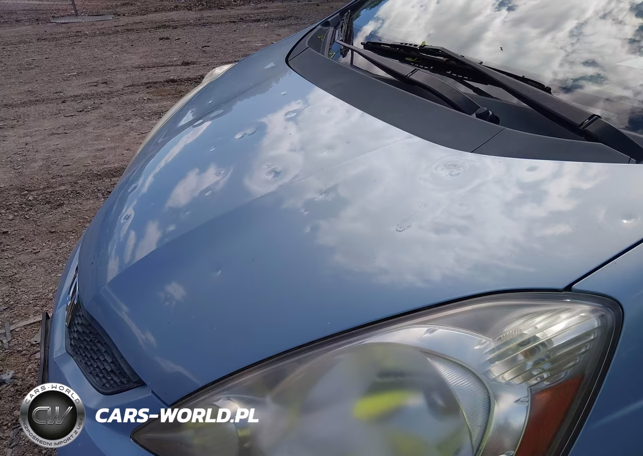 2010 Honda Fit Sport VIN:JHMGE8H42AC001025 - 12