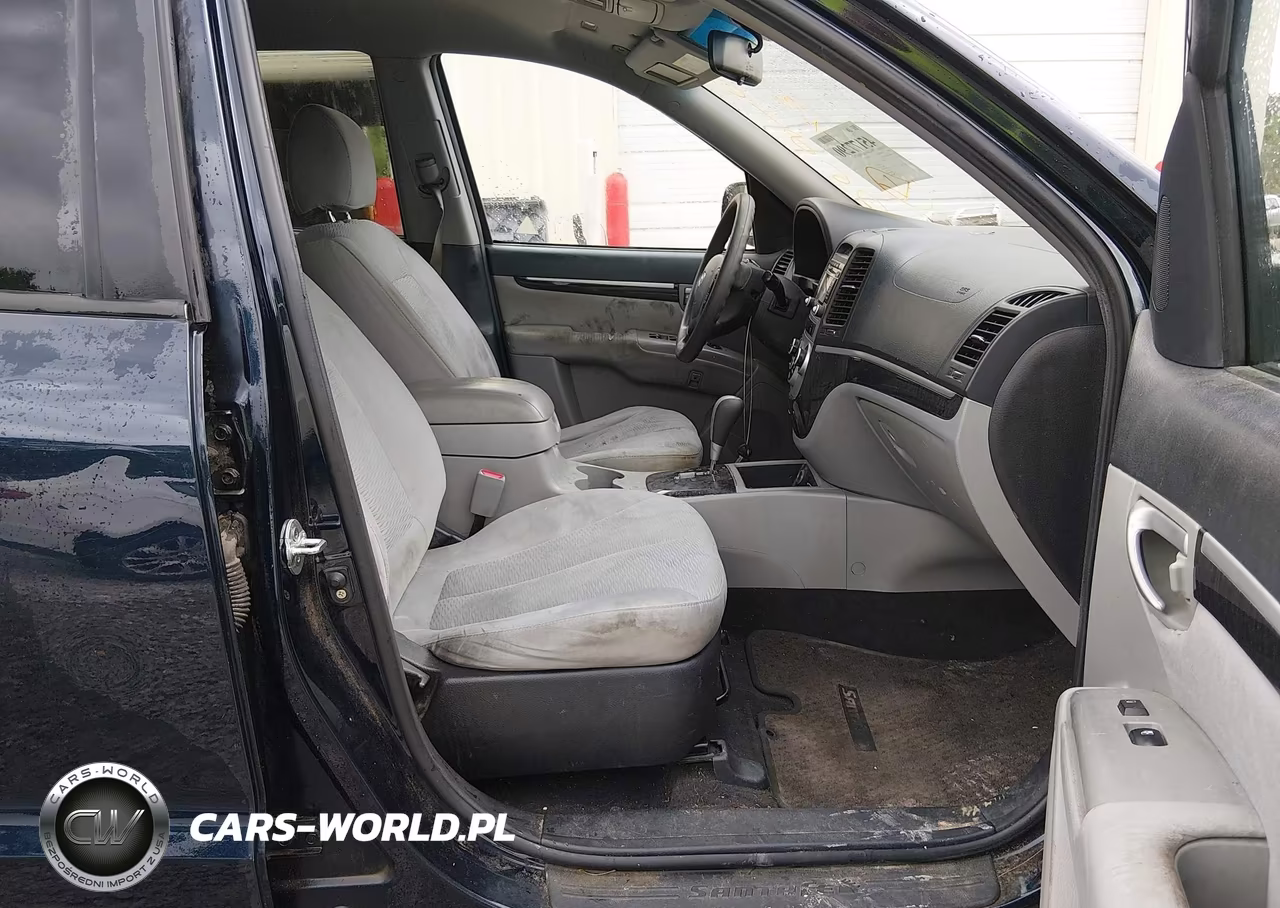 2009 Hyundai Santa Fe Gls VIN:5NMSG13D09H301860 - 5