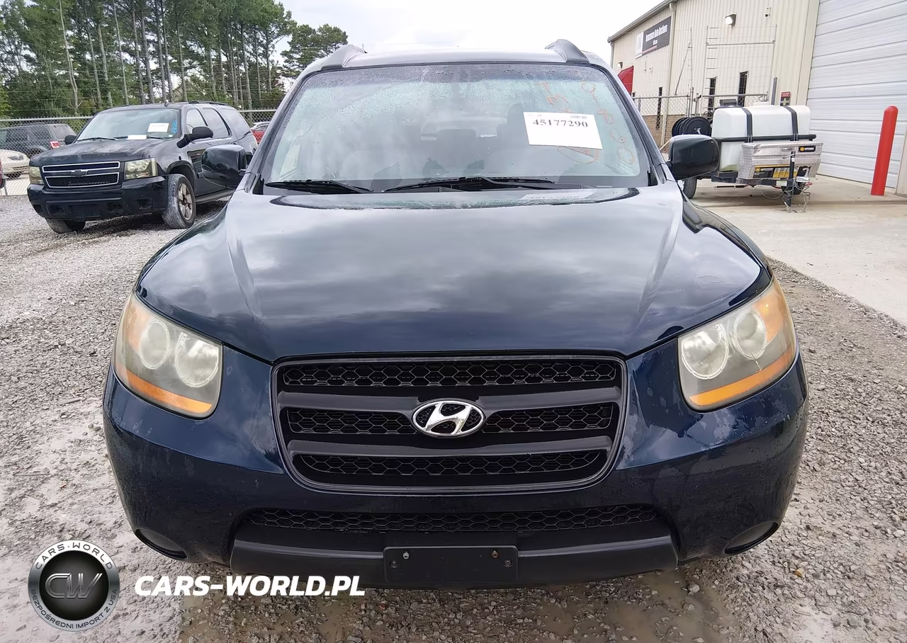 2009 Hyundai Santa Fe Gls VIN:5NMSG13D09H301860 - 6