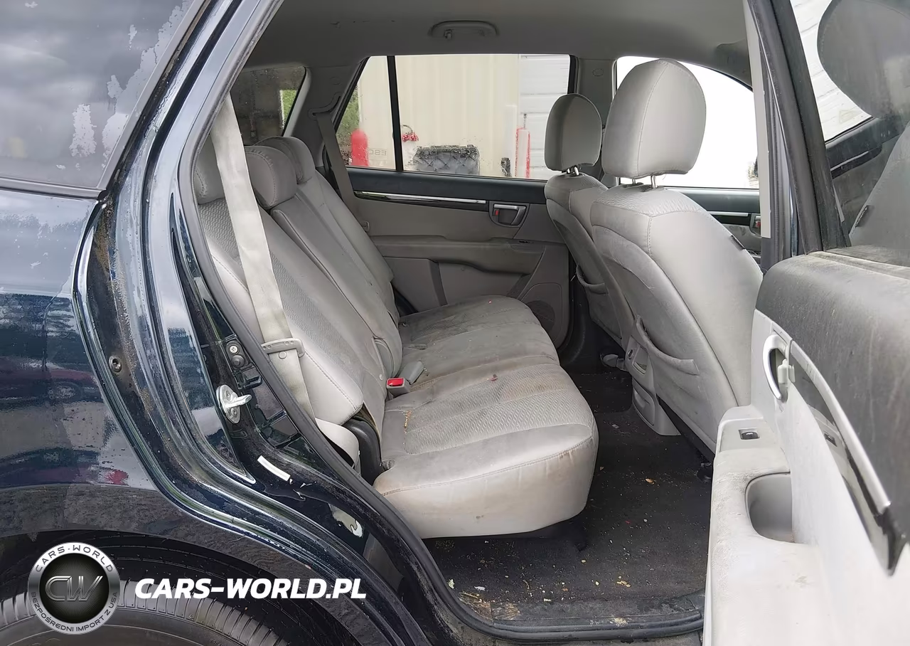 2009 Hyundai Santa Fe Gls VIN:5NMSG13D09H301860 - 8