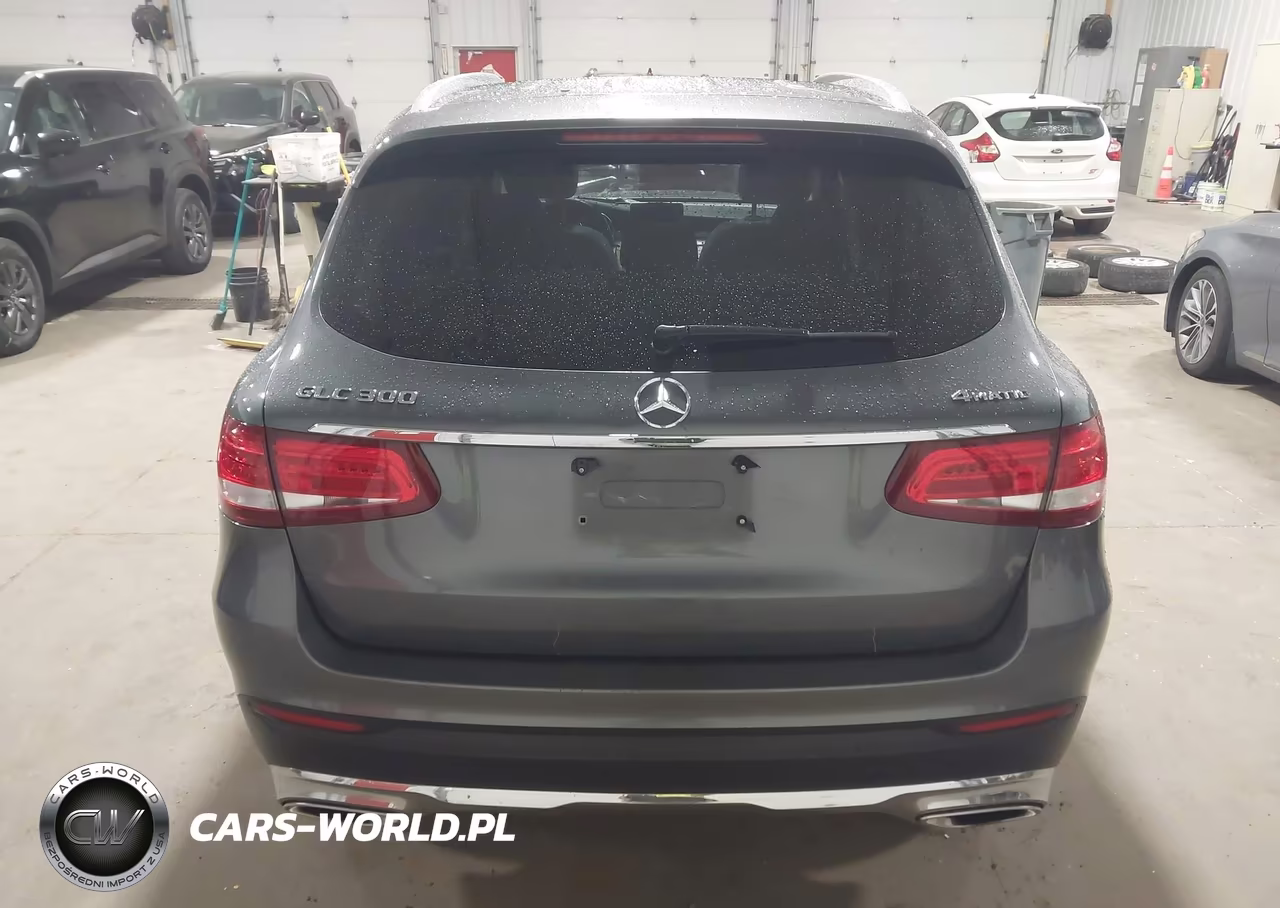 2019 Mercedes-Benz Glc 300 4Matic VIN:WDC0G4KB4KF566061 - 16