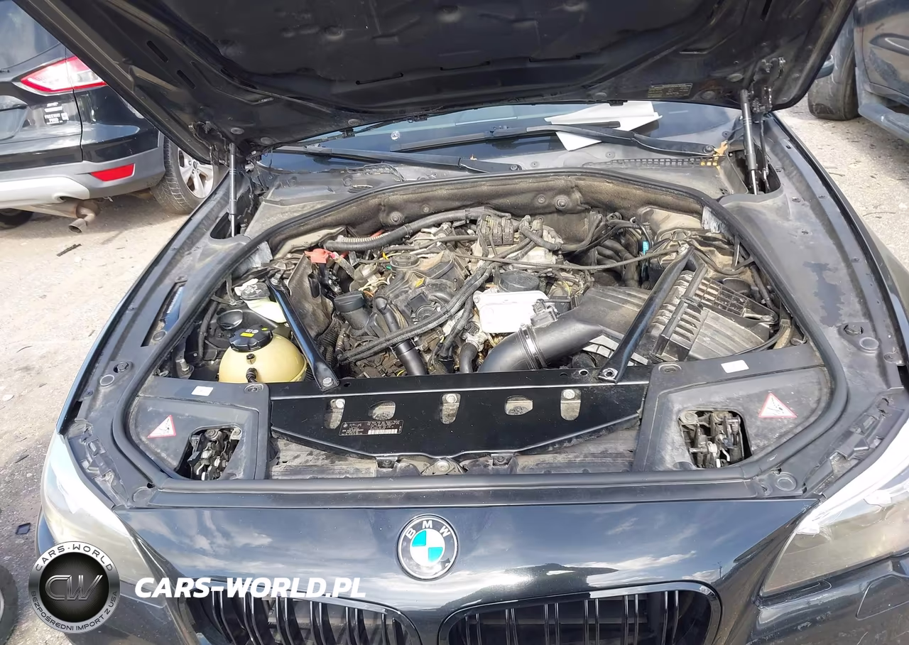 2015 BMW 528I VIN:WBA5A5C56FD518099 - 10