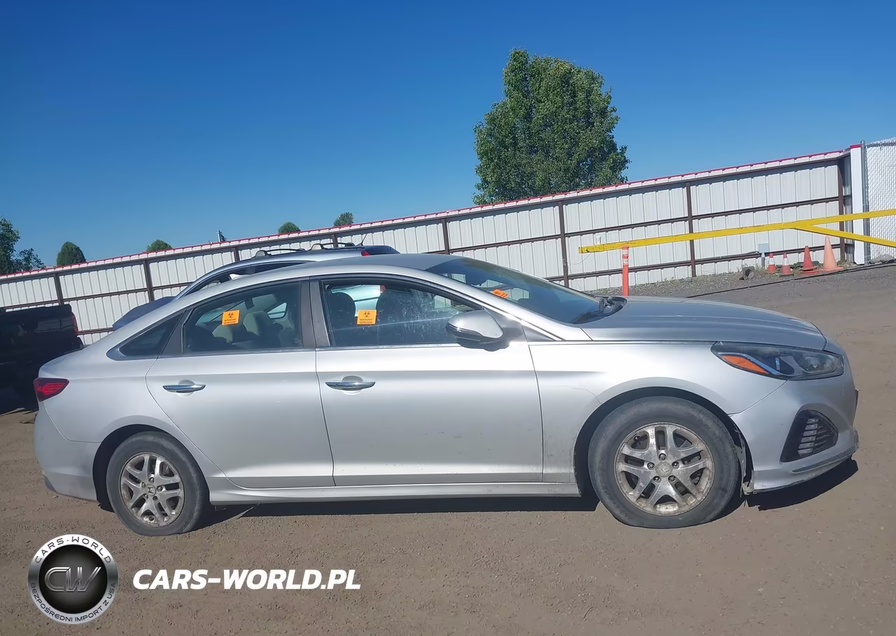 2019 Hyundai Sonata Sel VIN:5NPE34AF7KH778213 - 12
