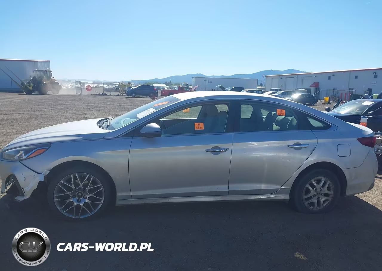 2019 Hyundai Sonata Sel VIN:5NPE34AF7KH778213 - 13