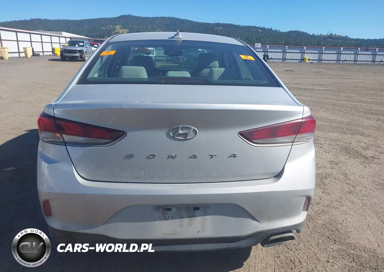 2019 Hyundai Sonata Sel VIN:5NPE34AF7KH778213 - 15