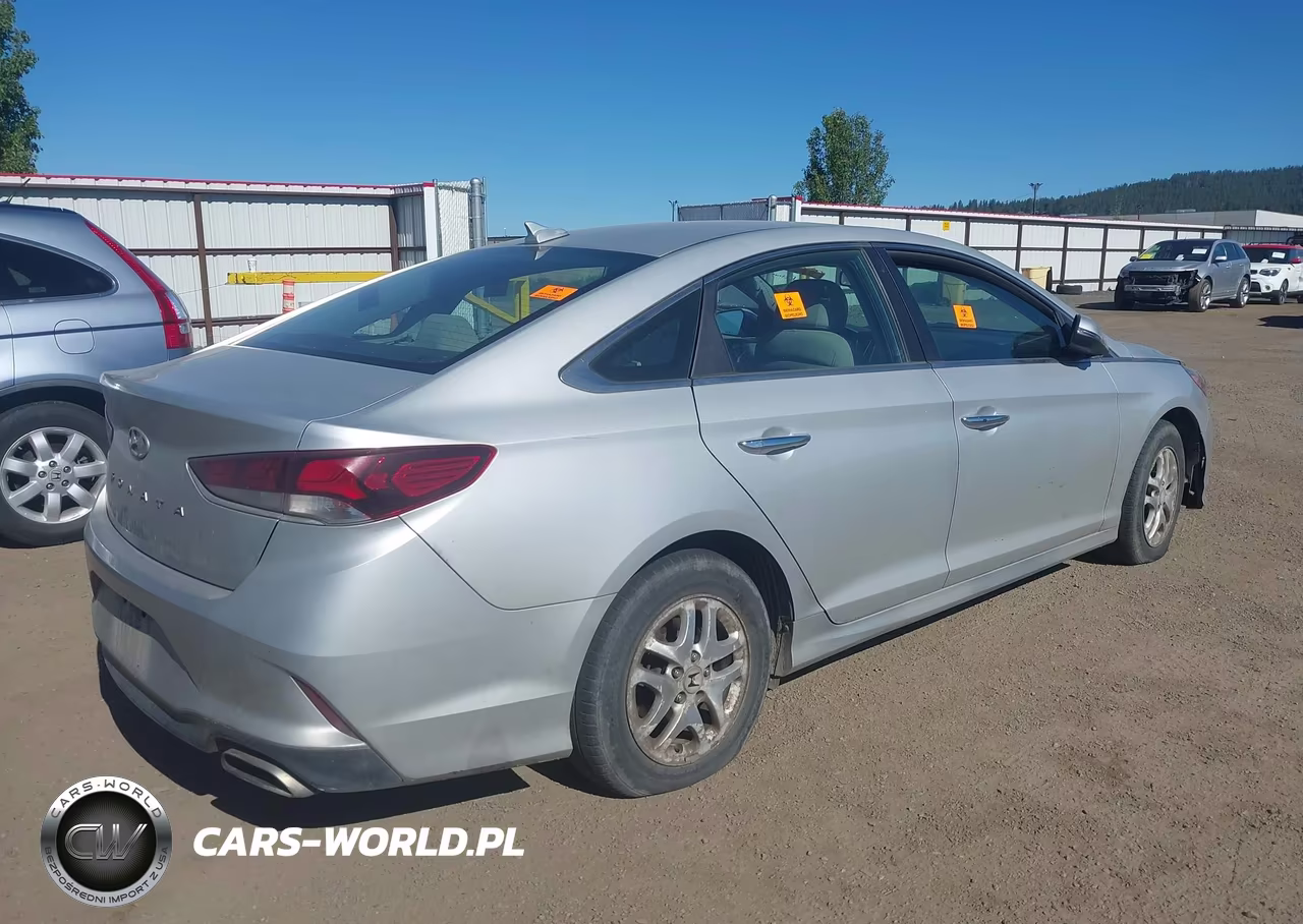 2019 Hyundai Sonata Sel VIN:5NPE34AF7KH778213 - 4