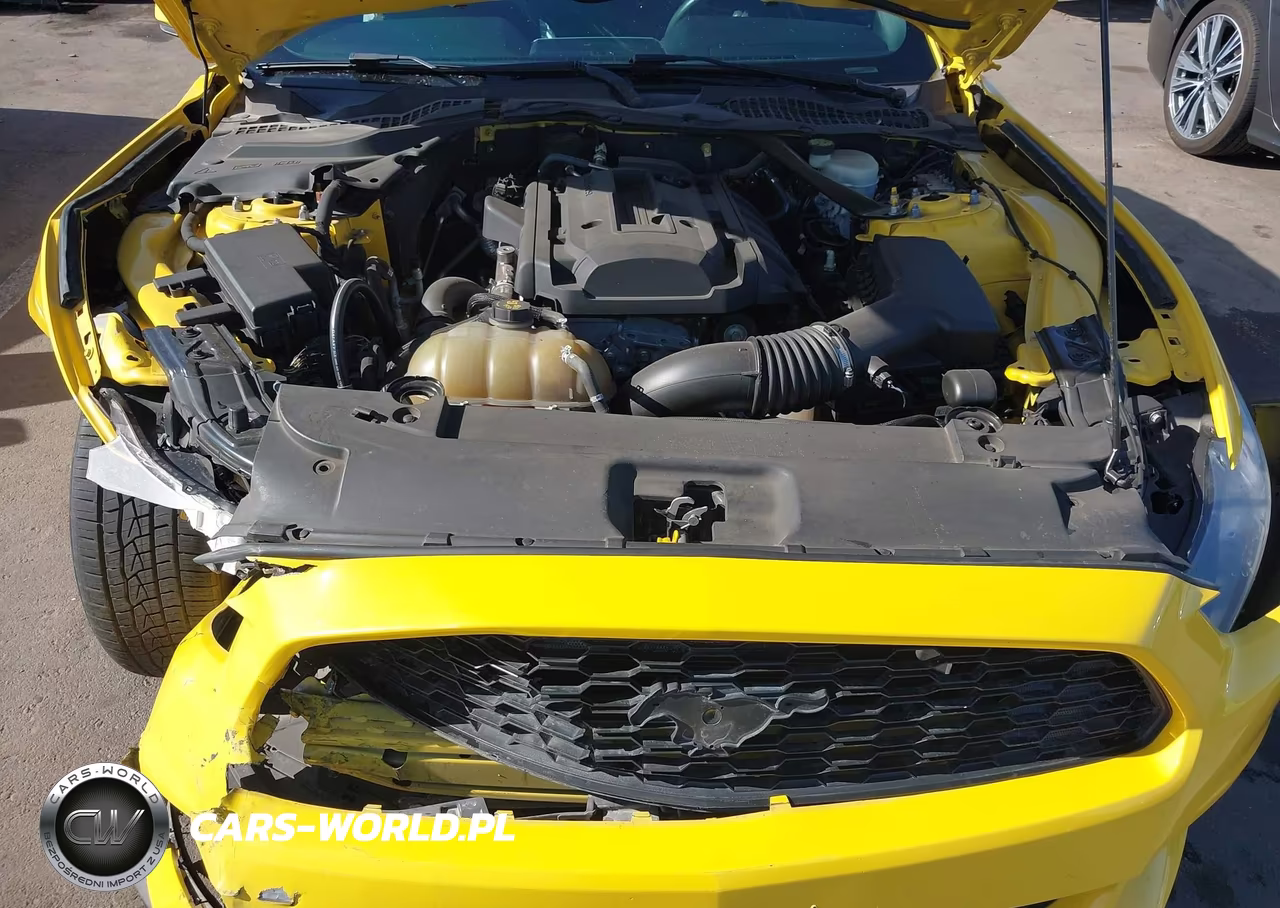 2015 Ford Mustang Ecoboost Premium VIN:1FATP8UH9F5415598 - 10