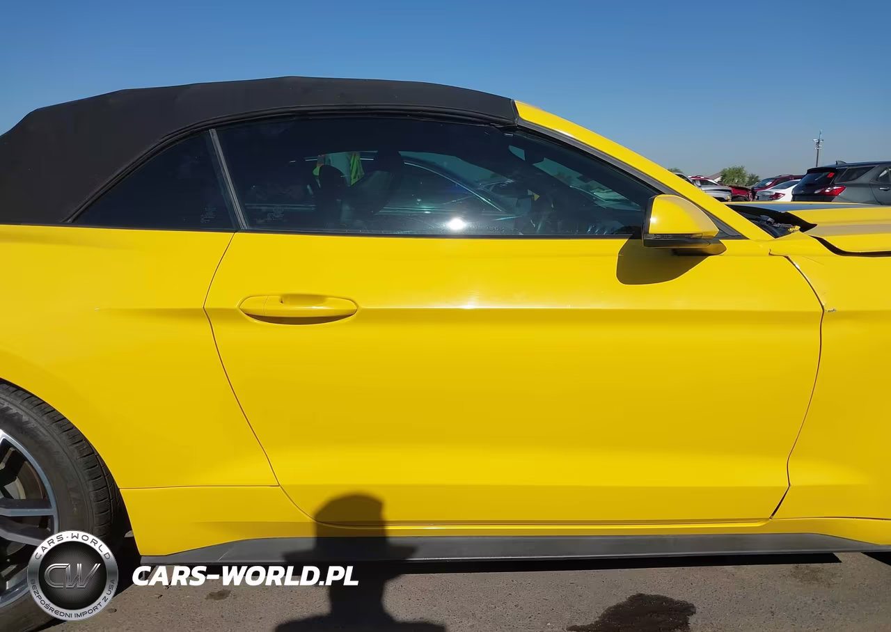 2015 Ford Mustang Ecoboost Premium VIN:1FATP8UH9F5415598 - 13