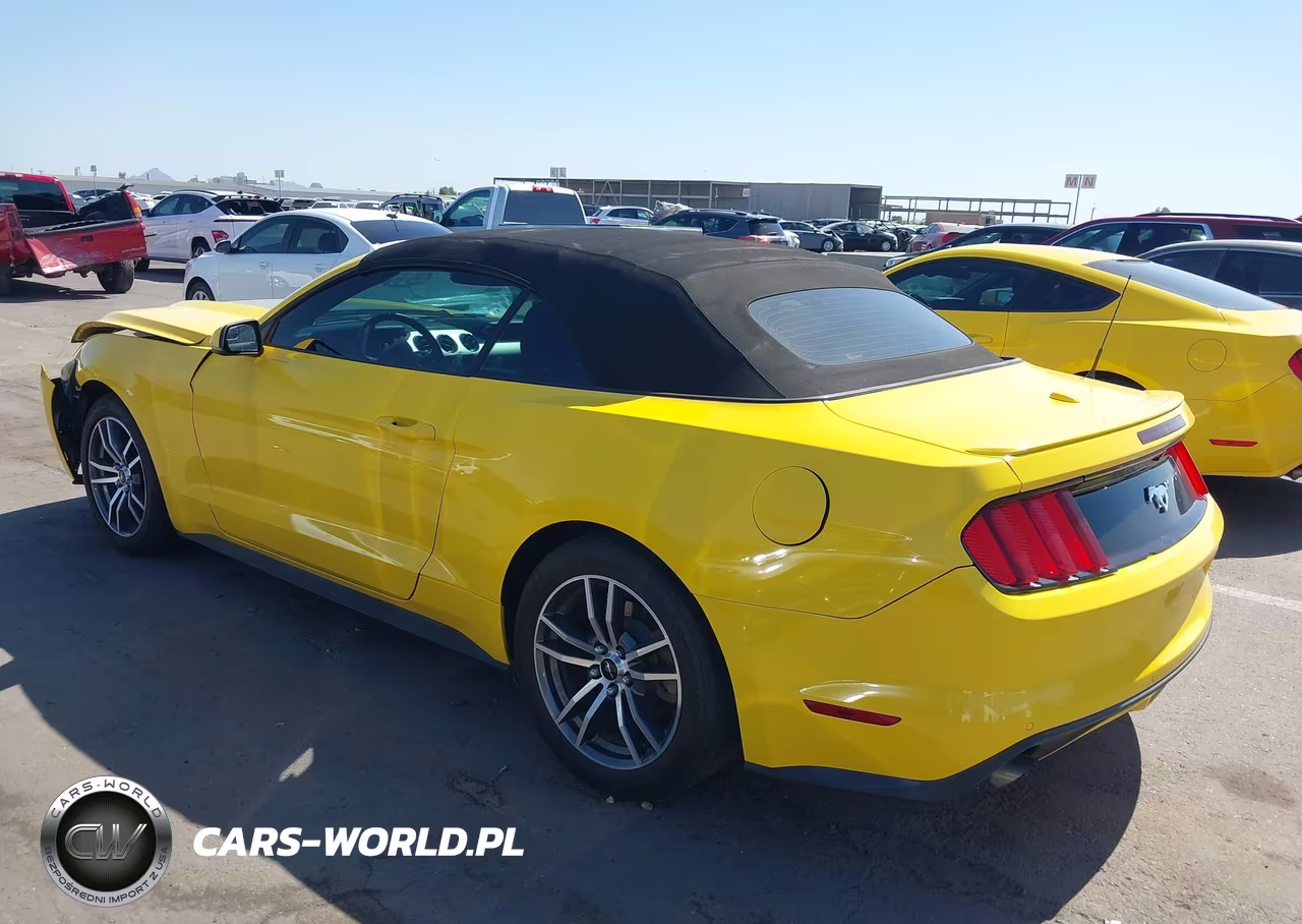2015 Ford Mustang Ecoboost Premium VIN:1FATP8UH9F5415598 - 3