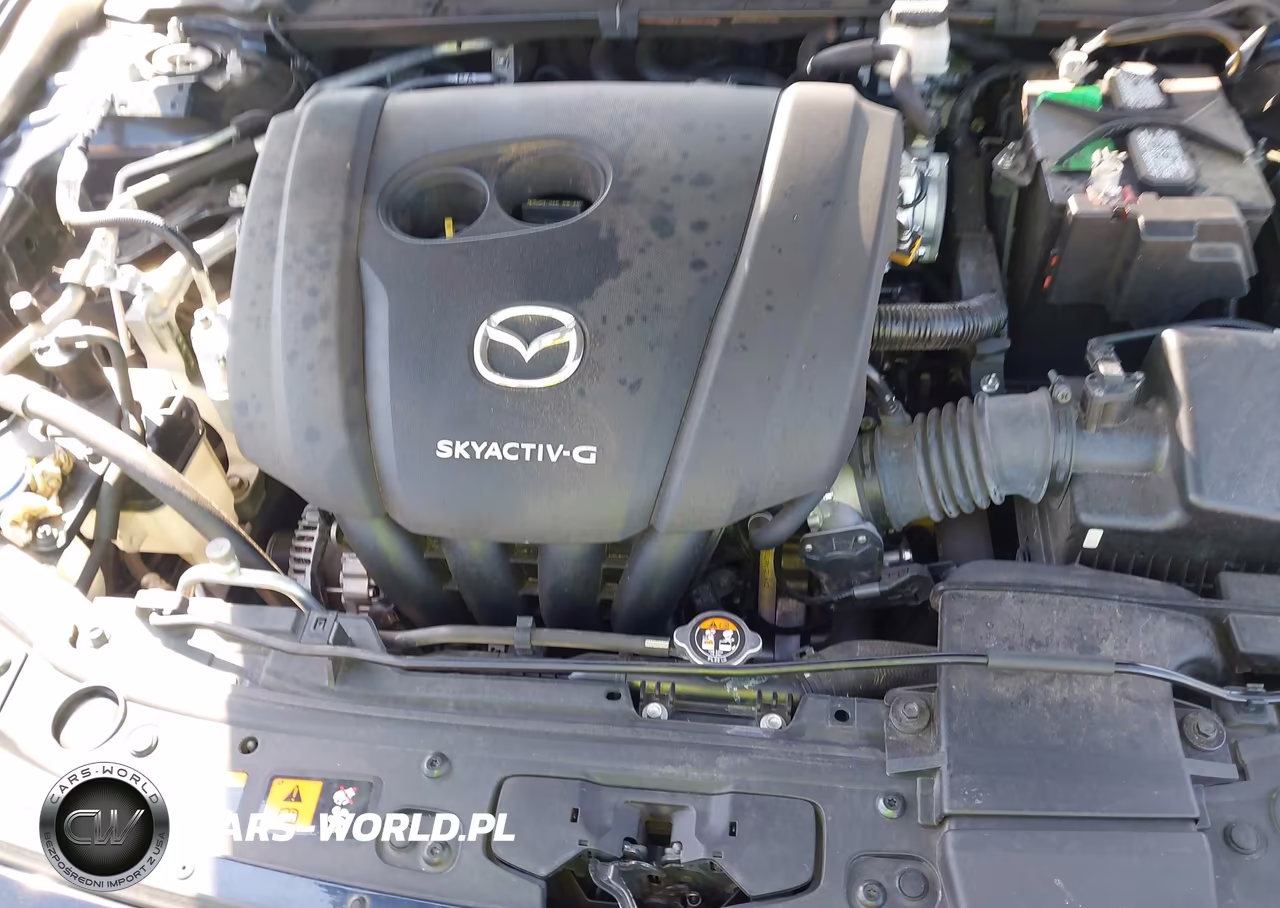 2020 Mazda Mazda3 VIN:JM1BPALM4L1160454 - 10