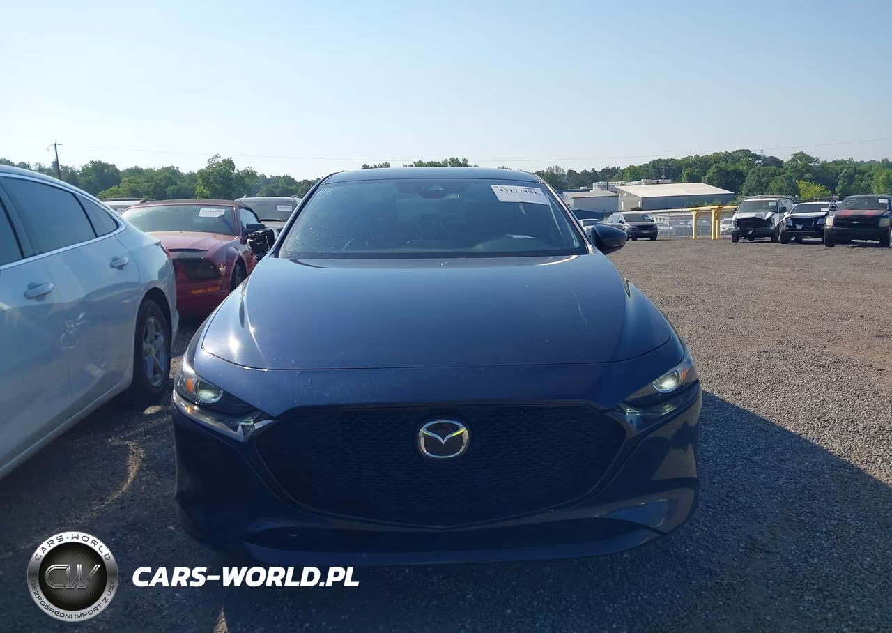 2020 Mazda Mazda3 VIN:JM1BPALM4L1160454 - 12