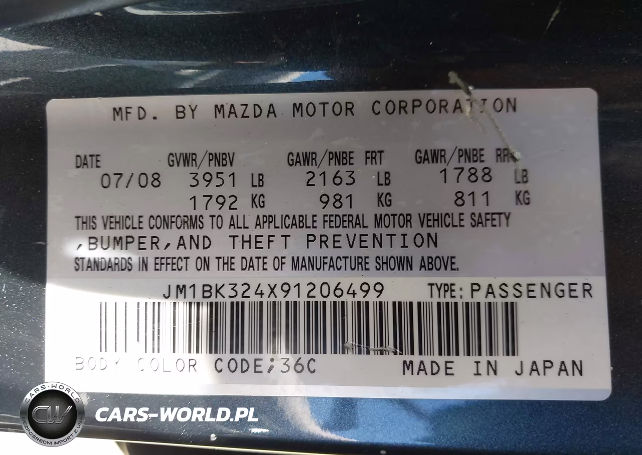 2009 Mazda Mazda3 S Touring VIN:JM1BK324X91206499 - 9