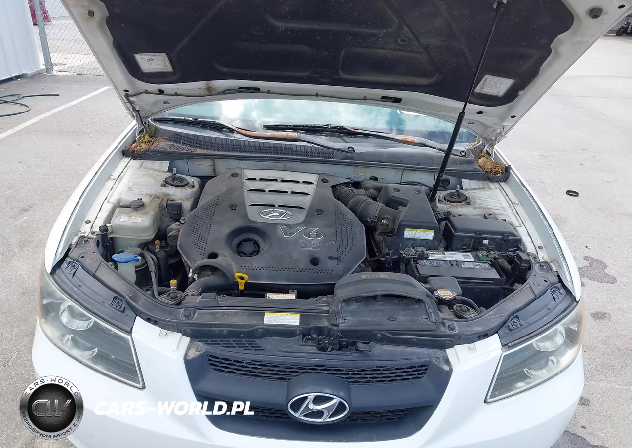 2006 Hyundai Sonata Gls V6-Lx V6 VIN:5NPEU46F06H102083 - 10