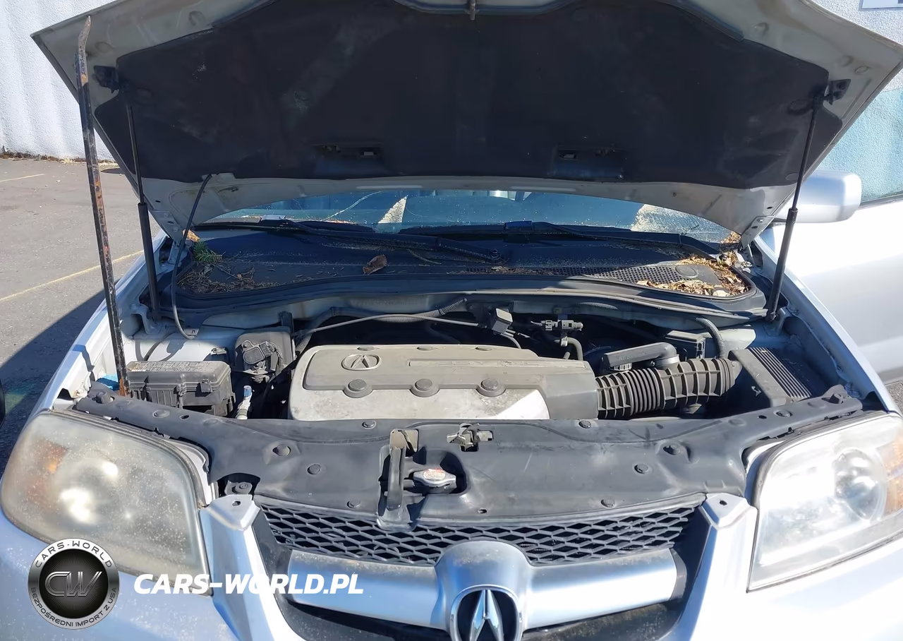 2005 Acura Mdx VIN:2HNYD18695H500323 - 10
