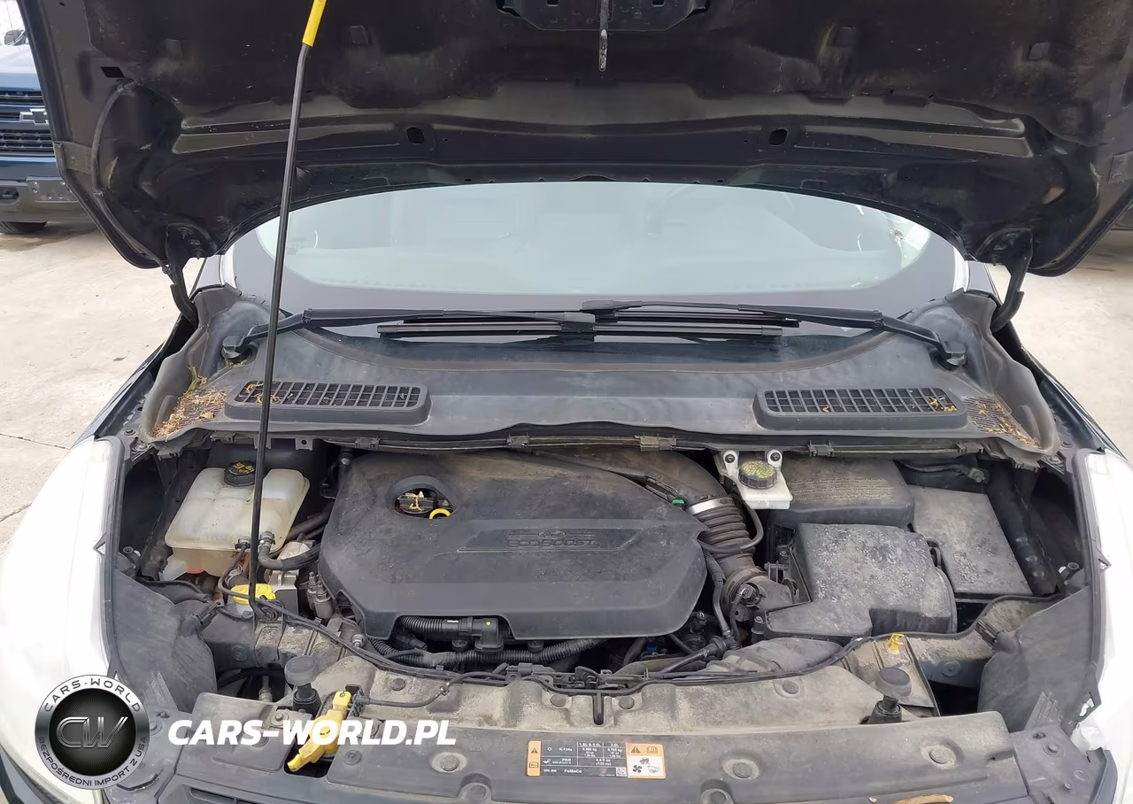 2014 Ford Escape Se VIN:1FMCU0GX7EUE39518 - 10