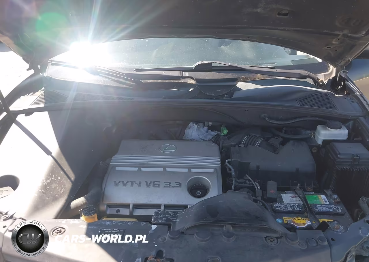 2004 Lexus Rx 330 VIN:2T2GA31U94C012380 - 10