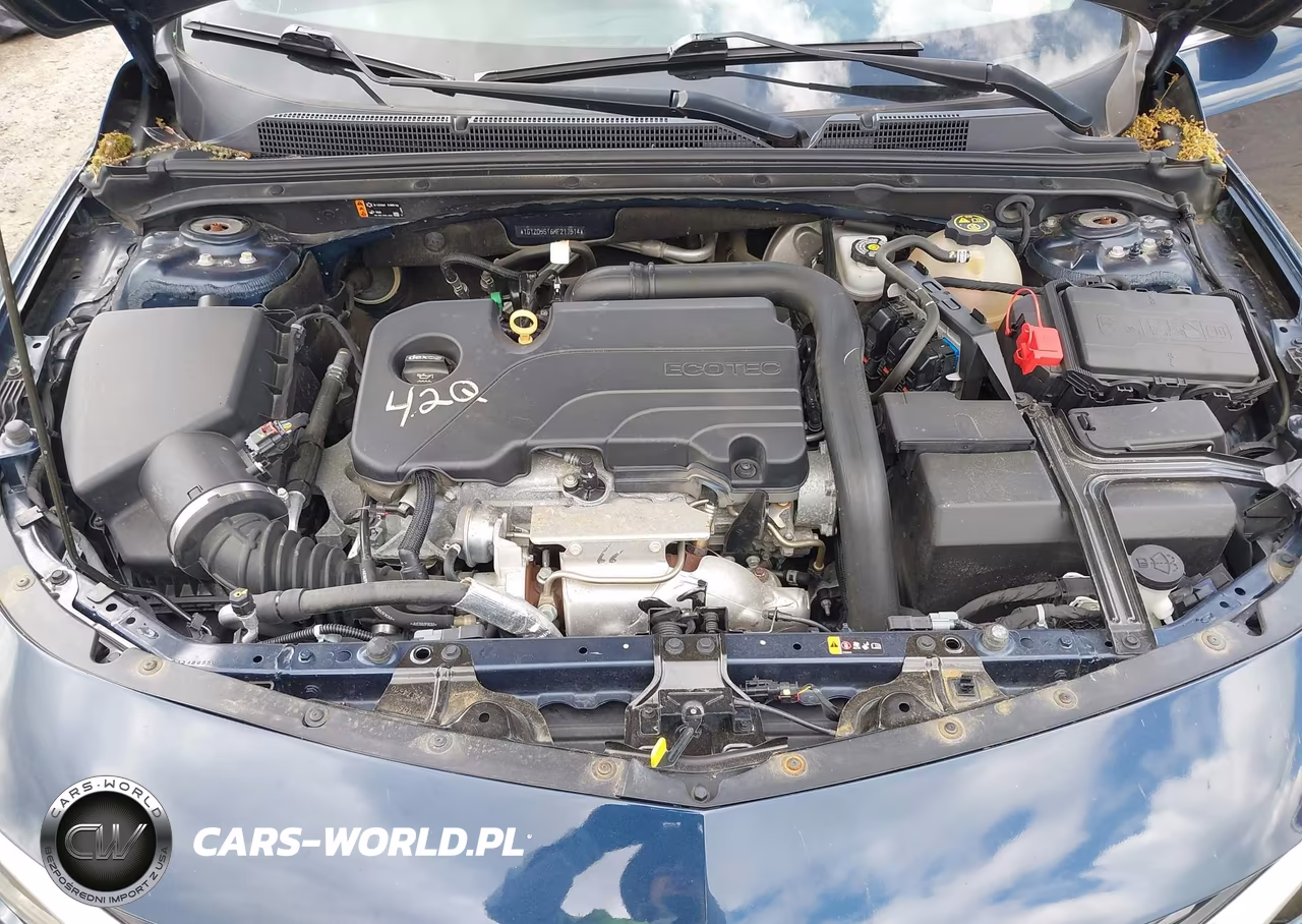 2019 Chevrolet Malibu Lt VIN:1G1ZD5ST6KF217514 - 10