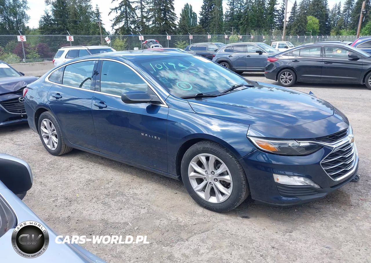 2019 Chevrolet Malibu Lt VIN:1G1ZD5ST6KF217514 - 13