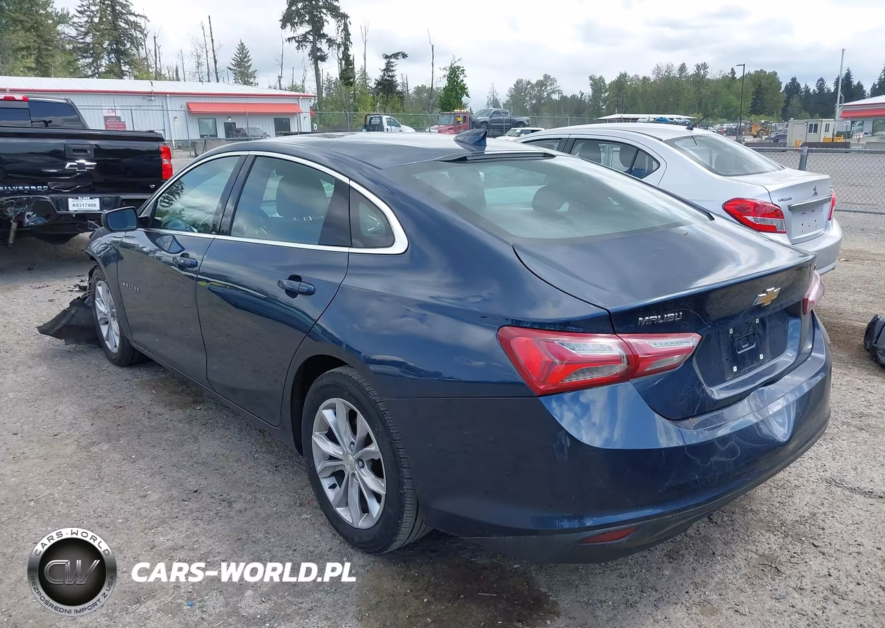 2019 Chevrolet Malibu Lt VIN:1G1ZD5ST6KF217514 - 3