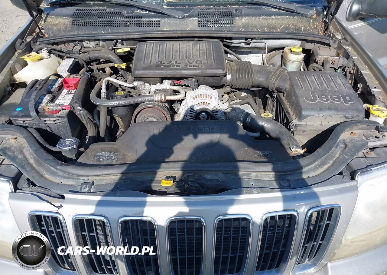 2001 Jeep Grand Cherokee Limited VIN:1J4GW58N41C661972 - 10