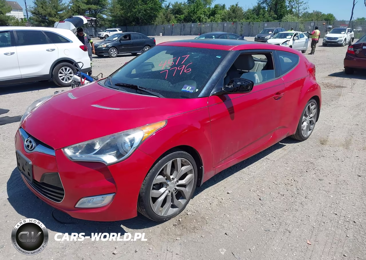 2013 Hyundai Veloster Base W-Gray VIN:KMHTC6AD5DU148311 - 2