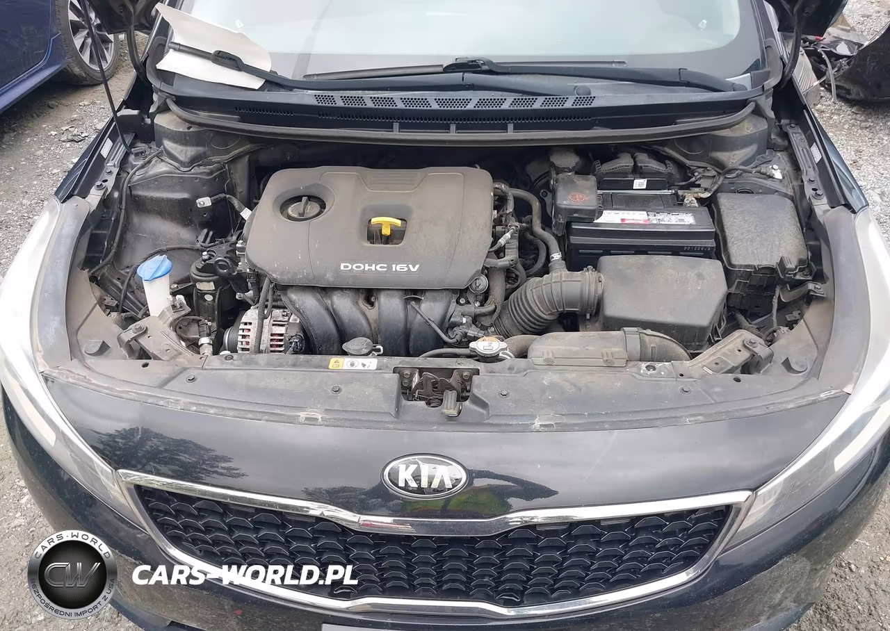 2017 Kia Forte Lx VIN:3KPFK4A7XHE045067 - 10