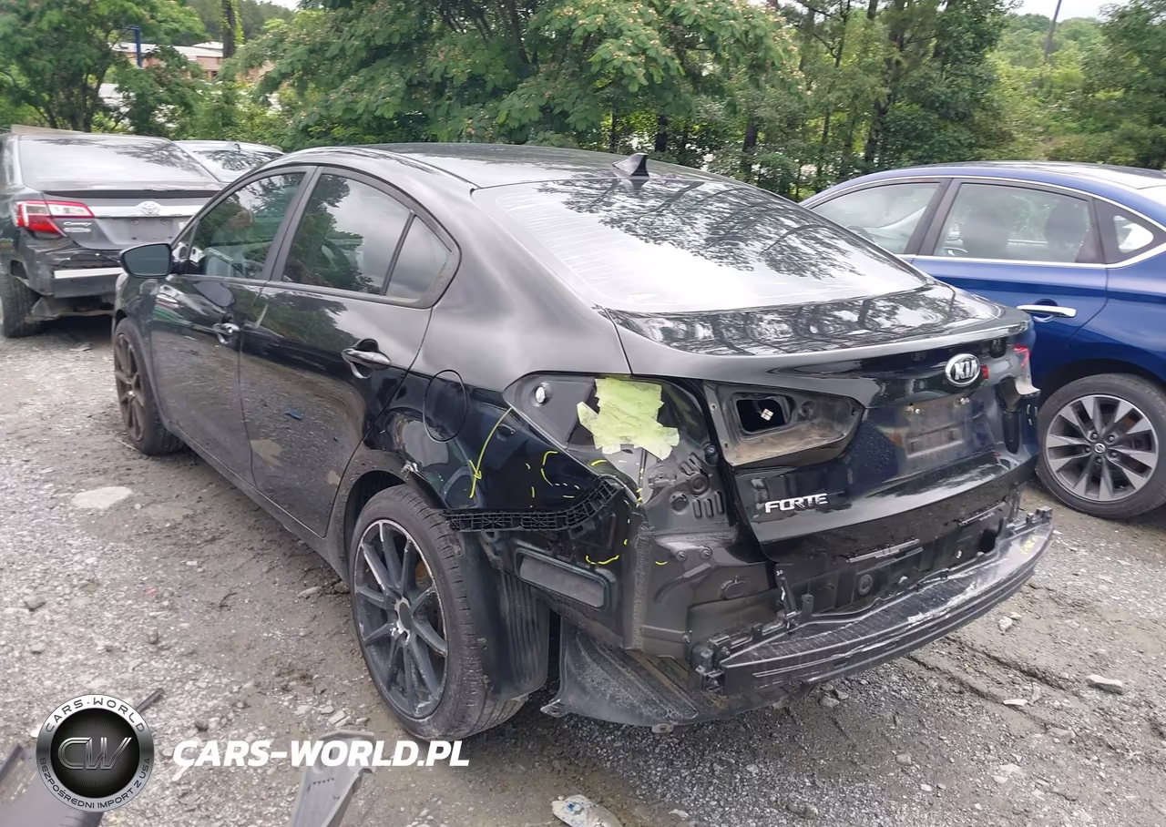 2017 Kia Forte Lx VIN:3KPFK4A7XHE045067 - 3