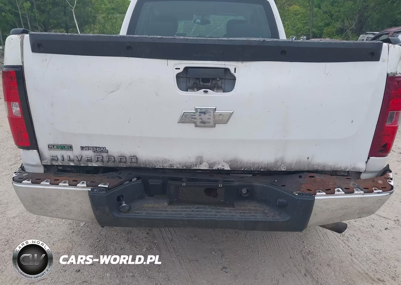 2010 Chevrolet Silverado 1500 Work Truck VIN:1GCSCPEA1AZ123605 - 16