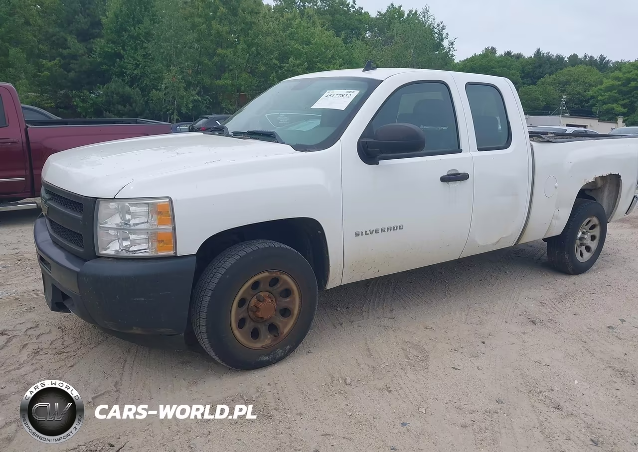 2010 Chevrolet Silverado 1500 Work Truck VIN:1GCSCPEA1AZ123605 - 2
