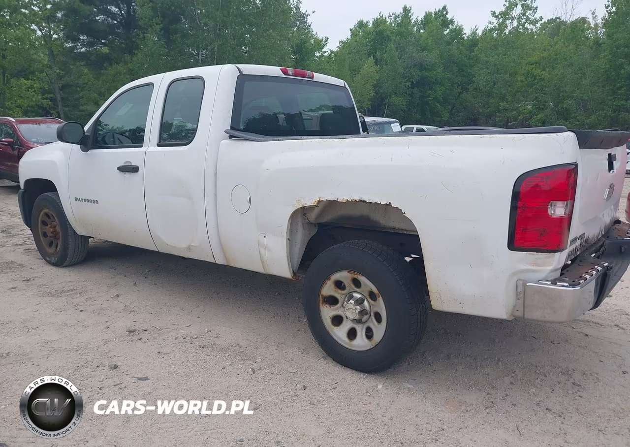 2010 Chevrolet Silverado 1500 Work Truck VIN:1GCSCPEA1AZ123605 - 3