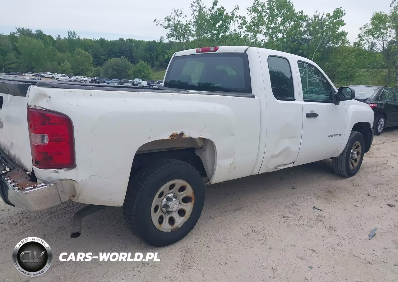 2010 Chevrolet Silverado 1500 Work Truck VIN:1GCSCPEA1AZ123605 - 4