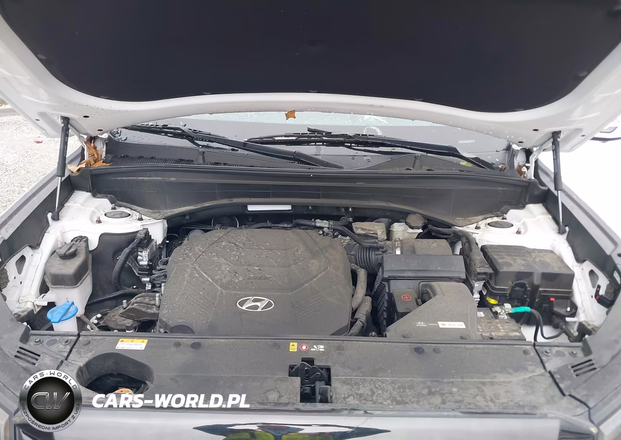 2023 Hyundai Palisade Sel VIN:KM8R4DGE5PU551124 - 10