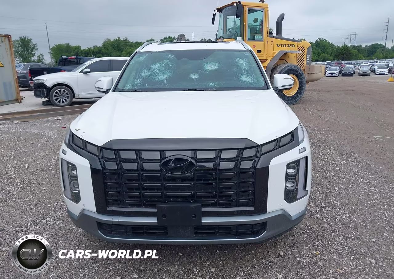 2023 Hyundai Palisade Sel VIN:KM8R4DGE5PU551124 - 12