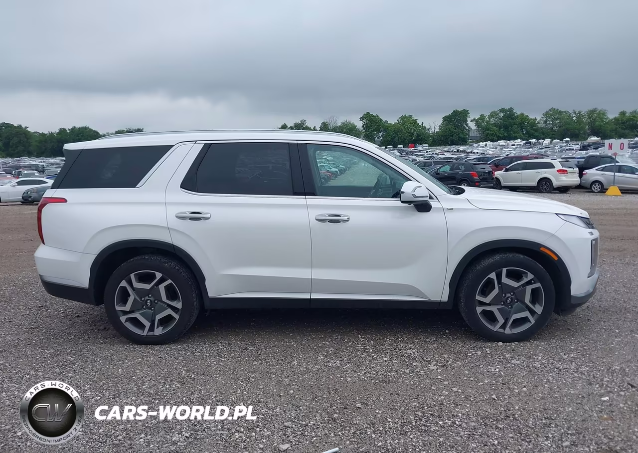 2023 Hyundai Palisade Sel VIN:KM8R4DGE5PU551124 - 13