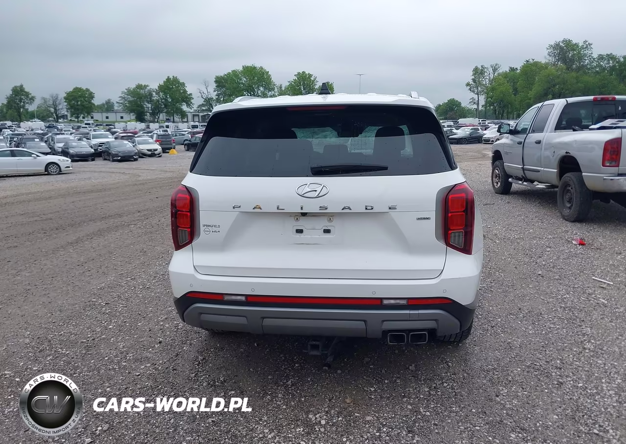 2023 Hyundai Palisade Sel VIN:KM8R4DGE5PU551124 - 16