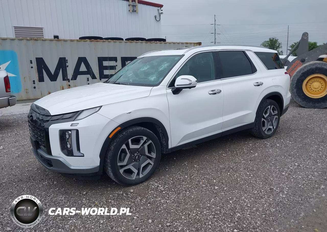 2023 Hyundai Palisade Sel VIN:KM8R4DGE5PU551124 - 2