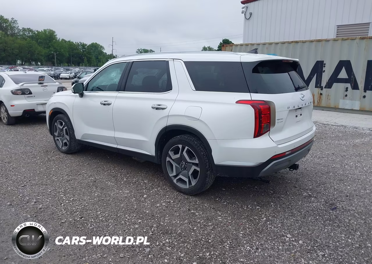 2023 Hyundai Palisade Sel VIN:KM8R4DGE5PU551124 - 3