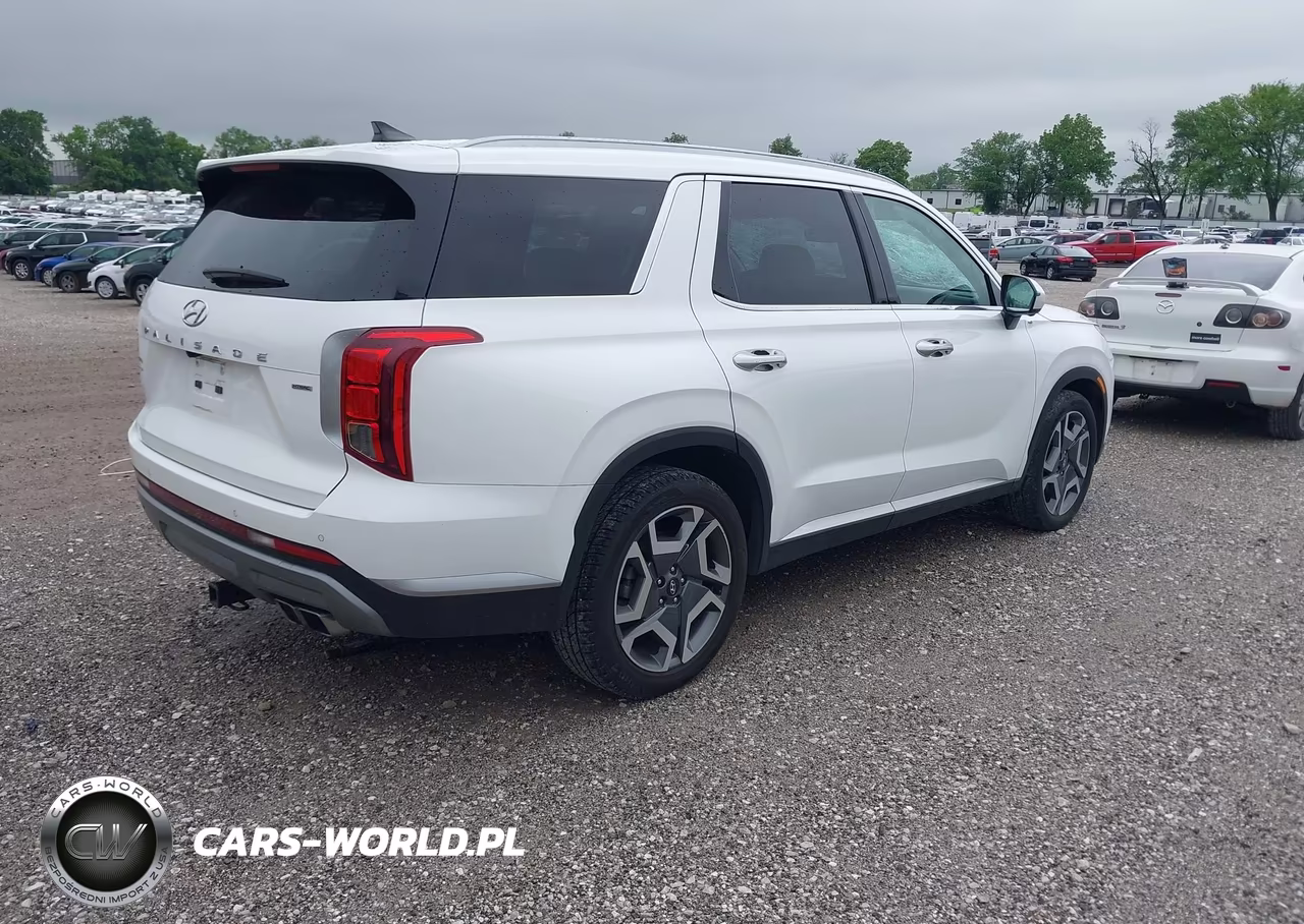 2023 Hyundai Palisade Sel VIN:KM8R4DGE5PU551124 - 4