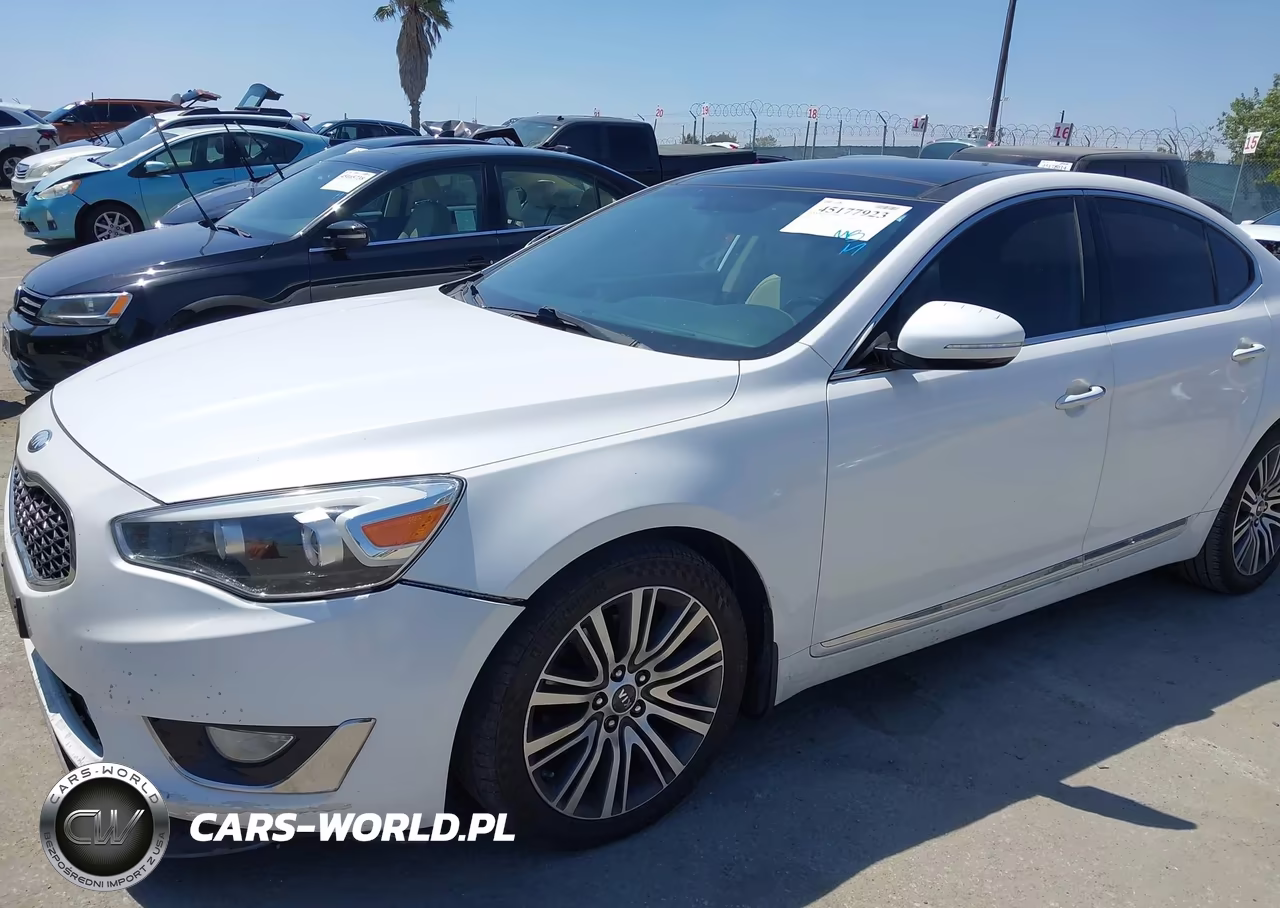 2014 Kia Cadenza Premium VIN:KNALN4D79E5126412 - 6