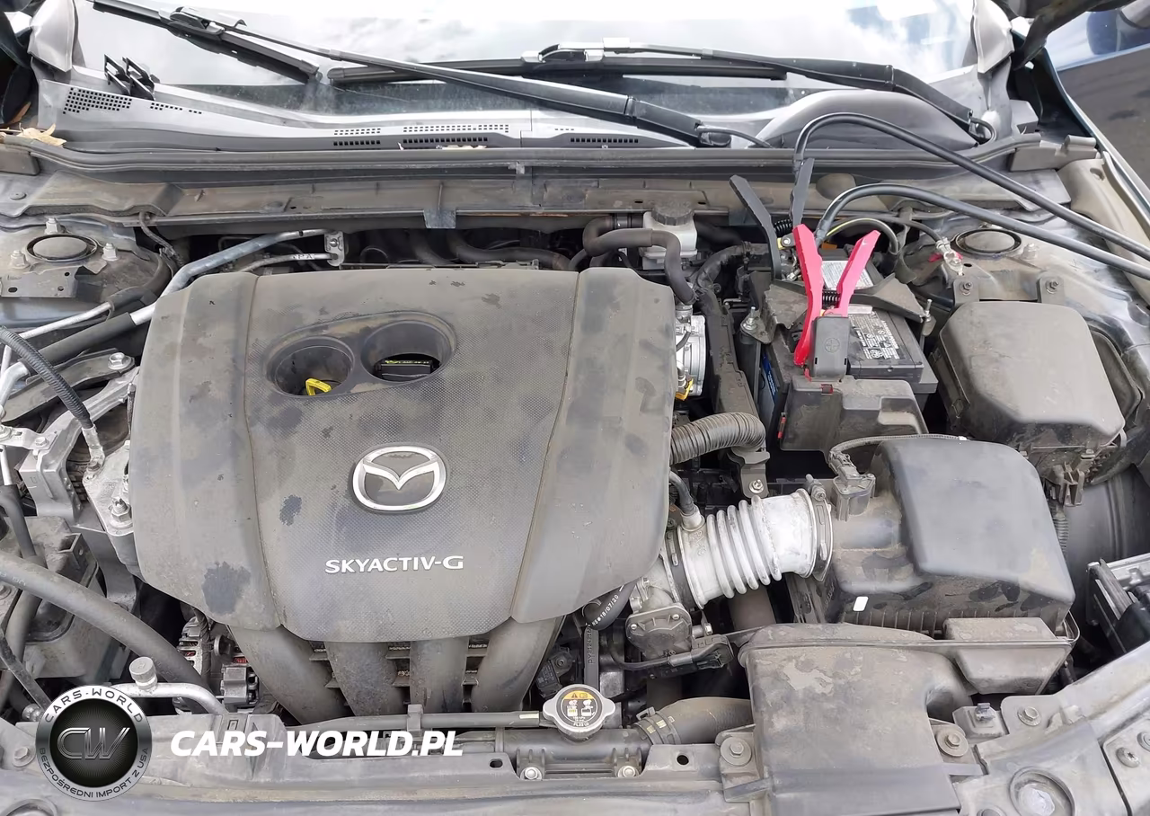 2019 Mazda Mazda3 Premium Package VIN:JM1BPACM5K1101556 - 10