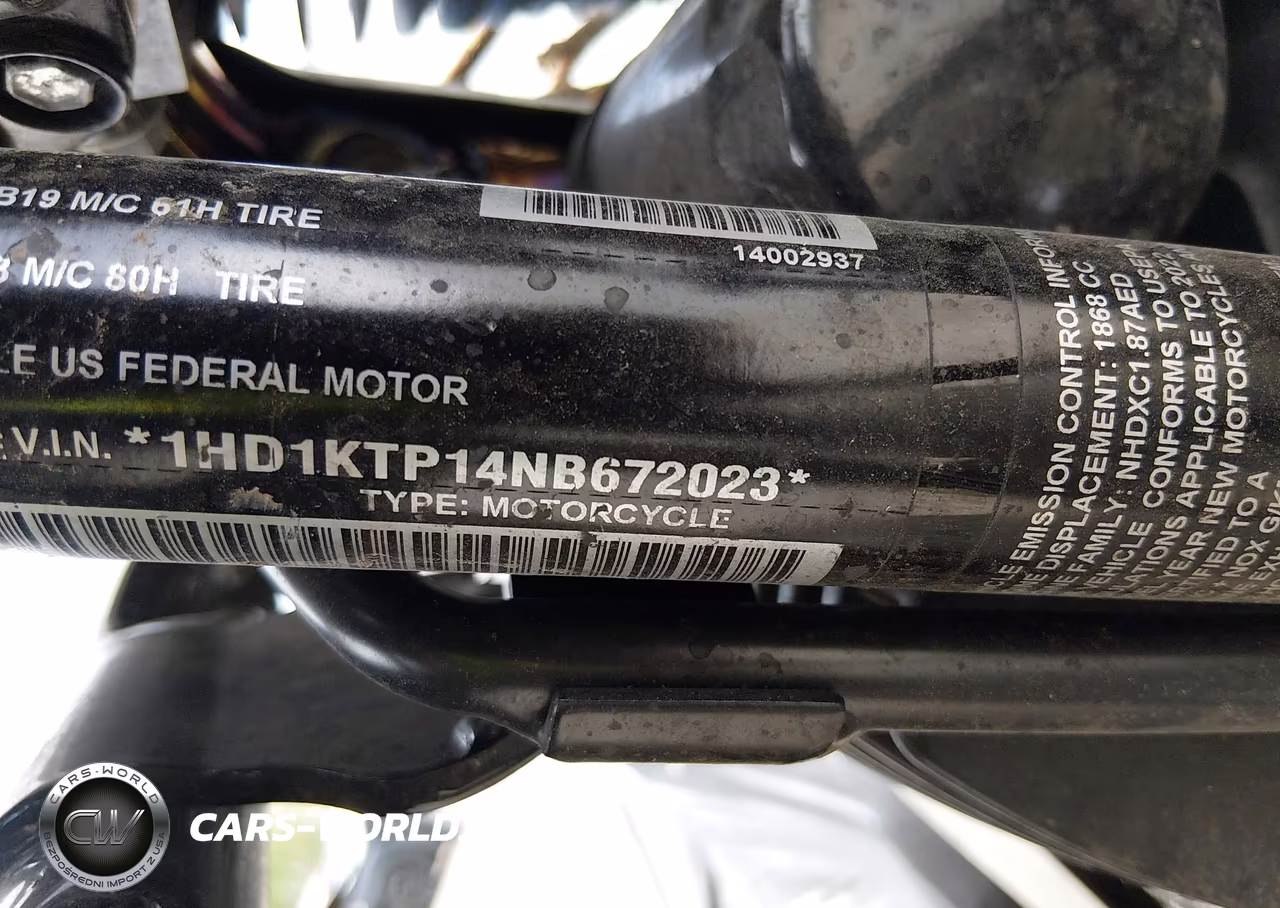 2022 Harley-Davidson Fltrxs VIN:1HD1KTP14NB672023 - 10
